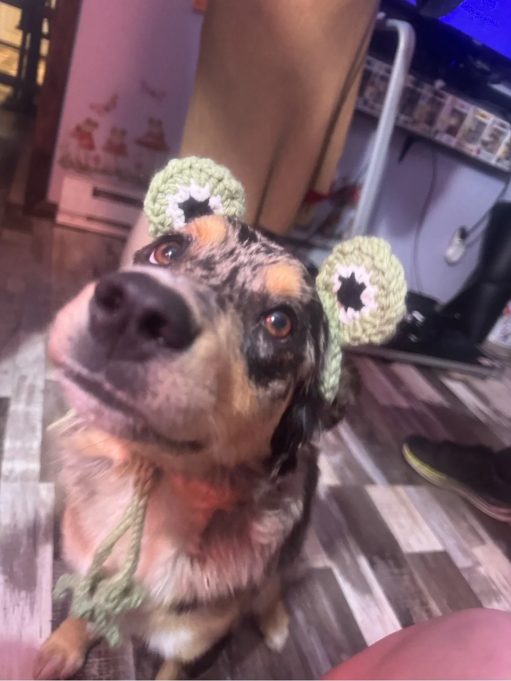 Handmade Light Green Crochet Dog Hat - Cute Ear Accessory